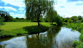 Fresh Water River