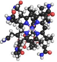 B12 molecule